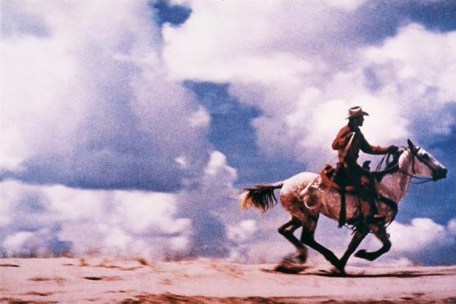 will the real donelle woolford please stand-up?_10