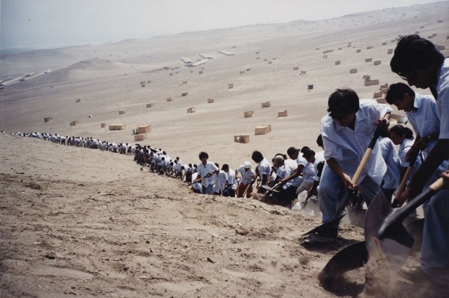 will the real donelle woolford please stand-up?_20